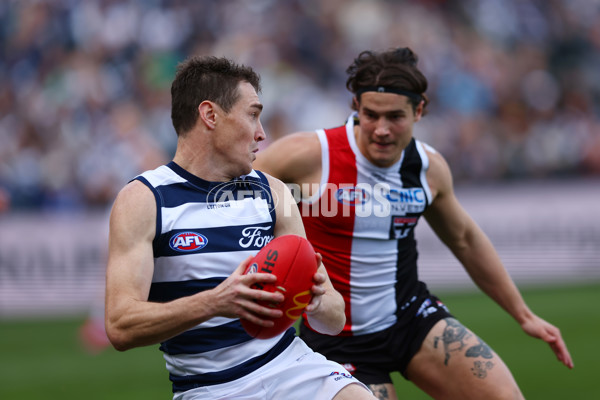 AFL 2025 Round 19 - Geelong v St Kilda - A-60655169