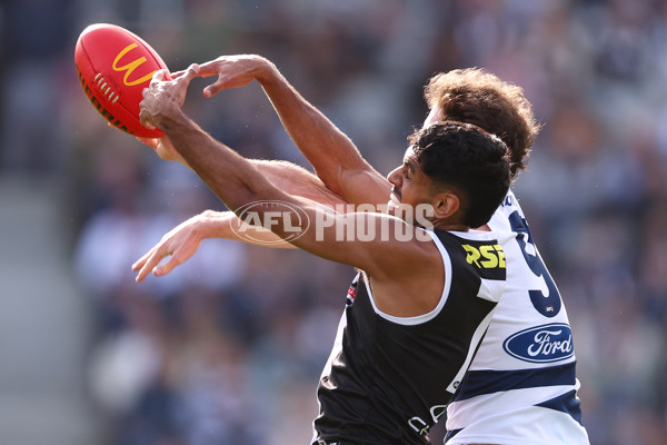 AFL 2025 Round 19 - Geelong v St Kilda - A-60655195