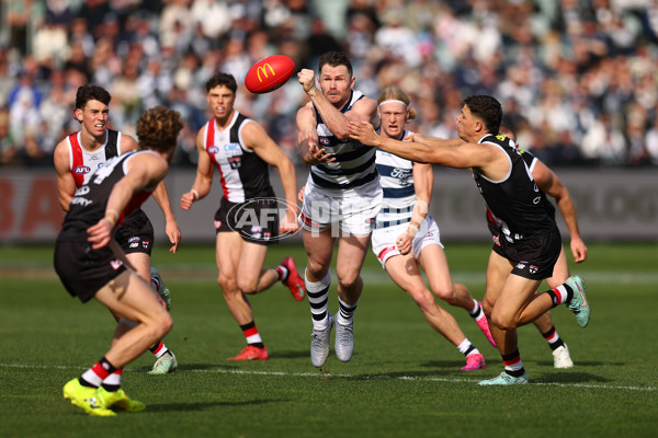 AFL 2025 Round 19 - Geelong v St Kilda - A-60655232