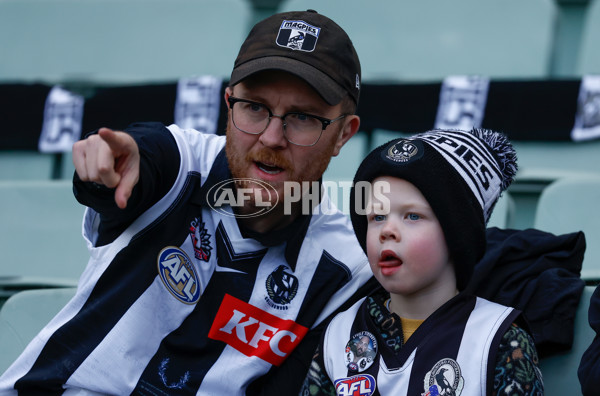 AFL 2025 Round 19 - Collingwood v Fremantle - A-60655794