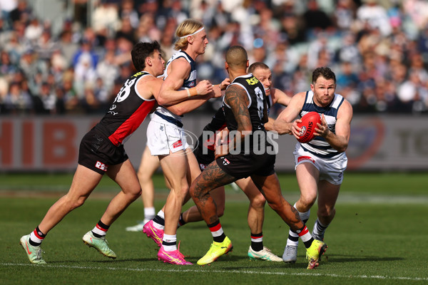 AFL 2025 Round 19 - Geelong v St Kilda - A-60655828