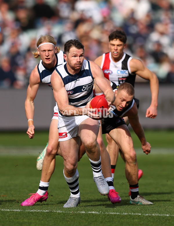AFL 2025 Round 19 - Geelong v St Kilda - A-60655829