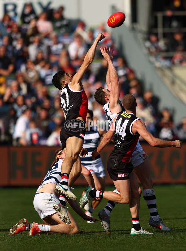 AFL 2025 Round 19 - Geelong v St Kilda - A-60655835