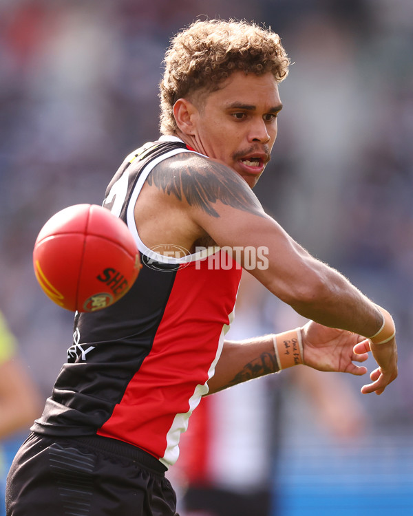 AFL 2025 Round 19 - Geelong v St Kilda - A-60655842