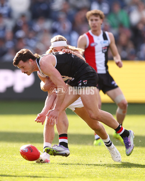 AFL 2025 Round 19 - Geelong v St Kilda - A-60658091