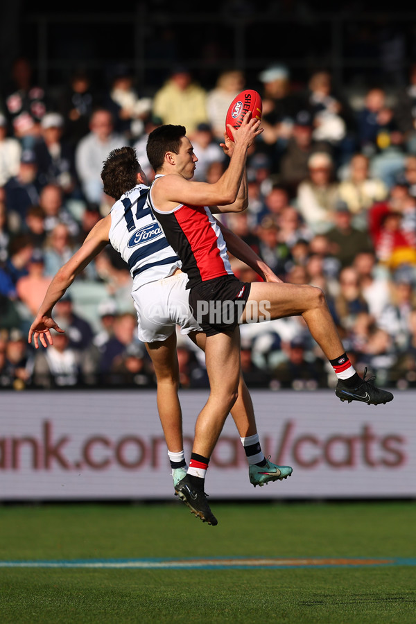 AFL 2025 Round 19 - Geelong v St Kilda - A-60658158