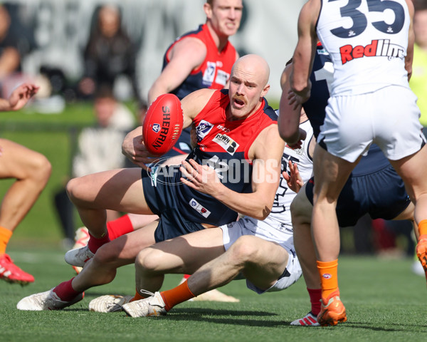 VFL 2025 Round 17 - Casey Demons v Carlton - A-60658485