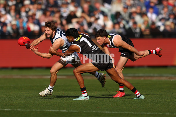 AFL 2025 Round 19 - Geelong v St Kilda - A-60658559