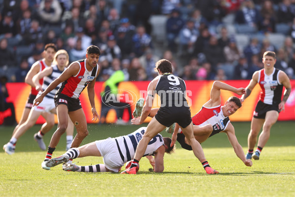 AFL 2025 Round 19 - Geelong v St Kilda - A-60658566