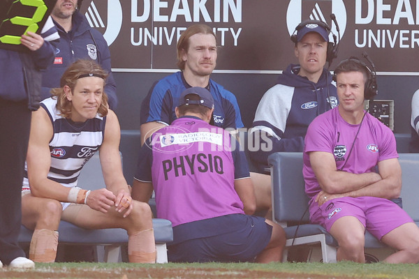 AFL 2025 Round 19 - Geelong v St Kilda - A-60660624