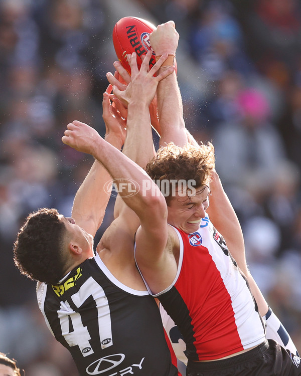 AFL 2025 Round 19 - Geelong v St Kilda - A-60660627