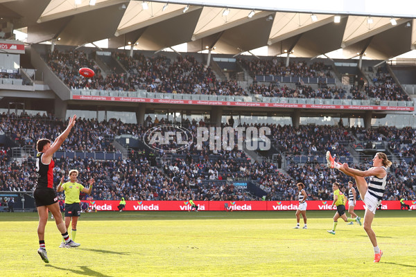 AFL 2025 Round 19 - Geelong v St Kilda - A-60660658