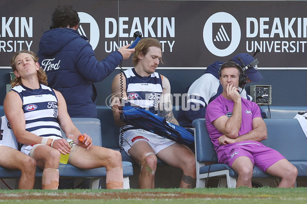 AFL 2025 Round 19 - Geelong v St Kilda - A-60661317