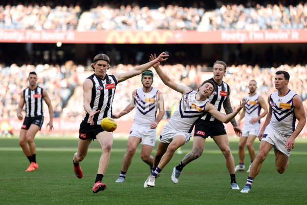 AFL 2025 Round 19 - Collingwood v Fremantle - A-60661404