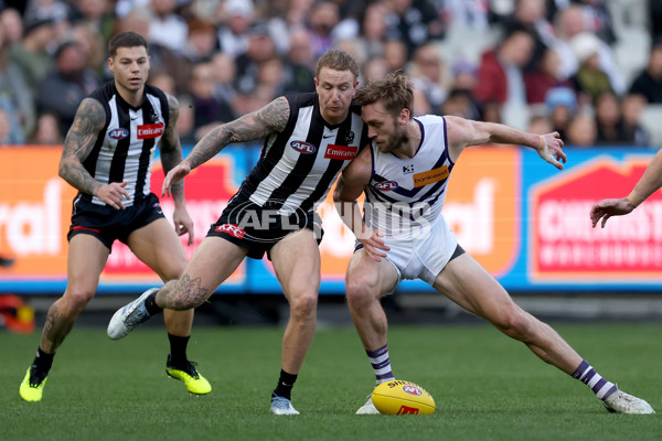 AFL 2025 Round 19 - Collingwood v Fremantle - A-60663888