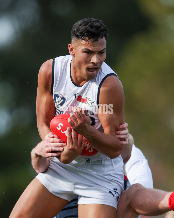 VFL 2025 Round 17 - Casey Demons v Carlton - A-60671441