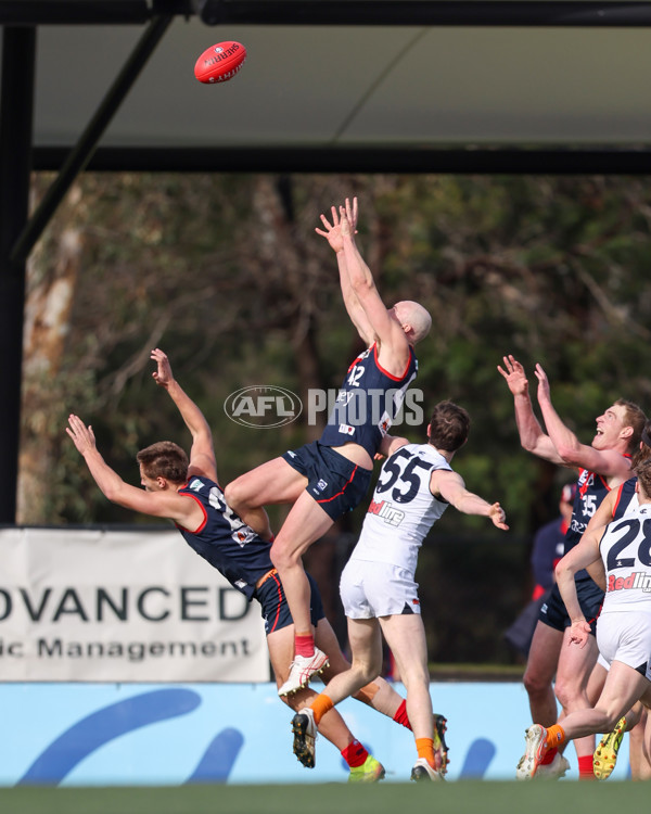 VFL 2025 Round 17 - Casey Demons v Carlton - A-60671543