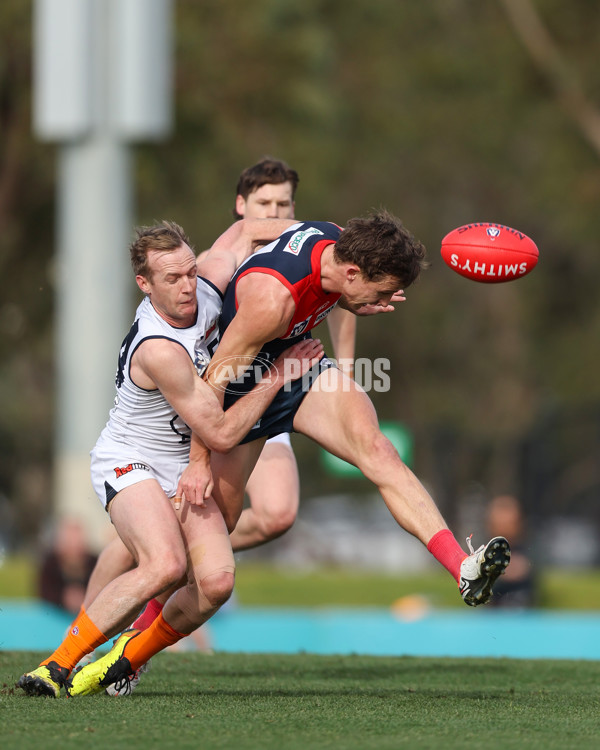 VFL 2025 Round 17 - Casey Demons v Carlton - A-60674185