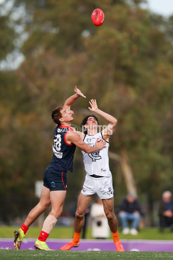 VFL 2025 Round 17 - Casey Demons v Carlton - A-60674390