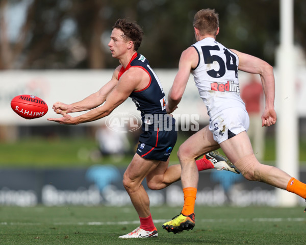VFL 2025 Round 17 - Casey Demons v Carlton - A-60674392
