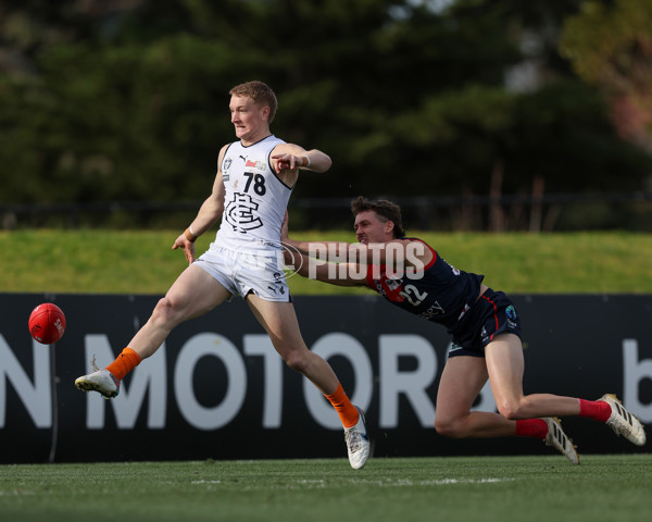 VFL 2025 Round 17 - Casey Demons v Carlton - A-60674393
