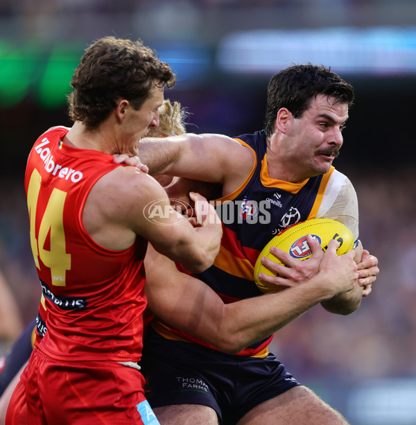 AFL 2025 Round 19 - Adelaide v Gold Coast - A-60676778
