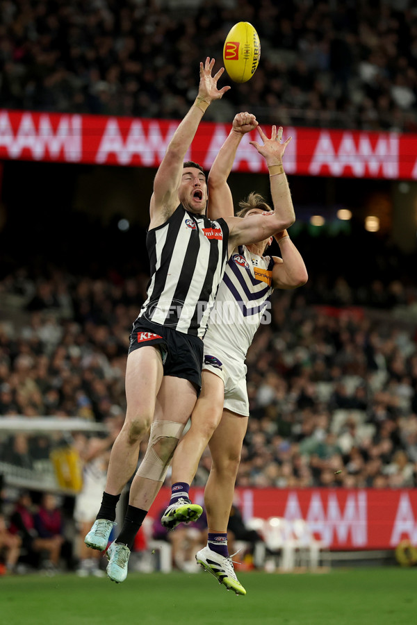 AFL 2025 Round 19 - Collingwood v Fremantle - A-60681789
