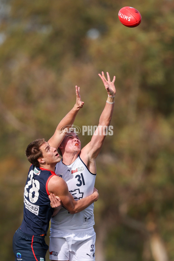 VFL 2025 Round 17 - Casey Demons v Carlton - A-60681807