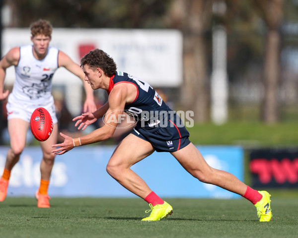 VFL 2025 Round 17 - Casey Demons v Carlton - A-60681809