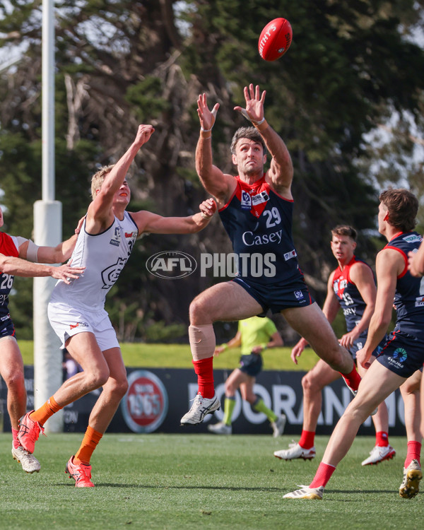 VFL 2025 Round 17 - Casey Demons v Carlton - A-60684439