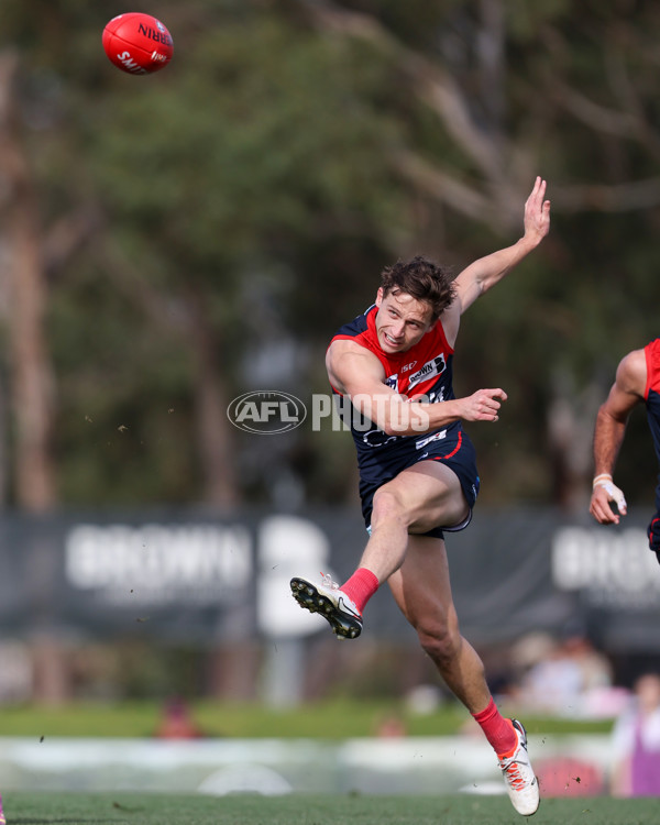 VFL 2025 Round 17 - Casey Demons v Carlton - A-60687020