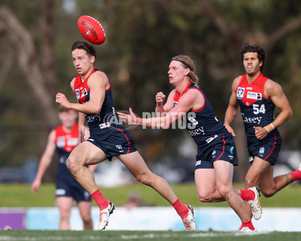 VFL 2025 Round 17 - Casey Demons v Carlton - A-60687040