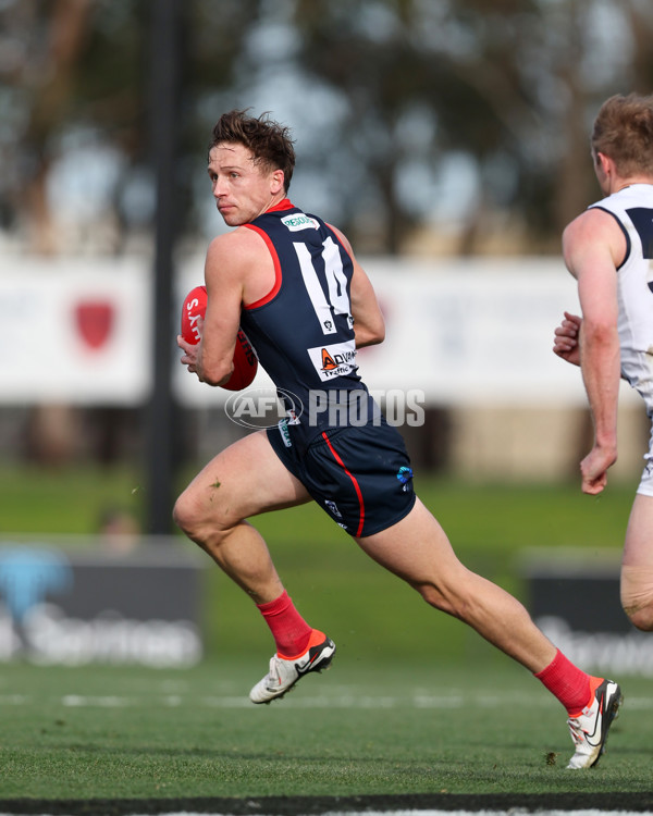VFL 2025 Round 17 - Casey Demons v Carlton - A-60687043