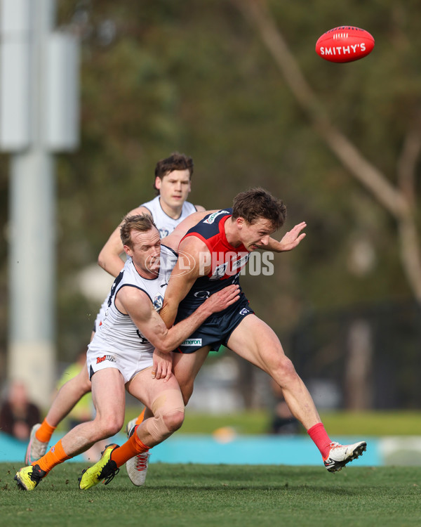 VFL 2025 Round 17 - Casey Demons v Carlton - A-60687047