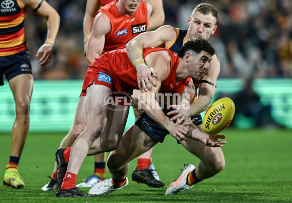 AFL 2025 Round 19 - Adelaide v Gold Coast - A-60687485