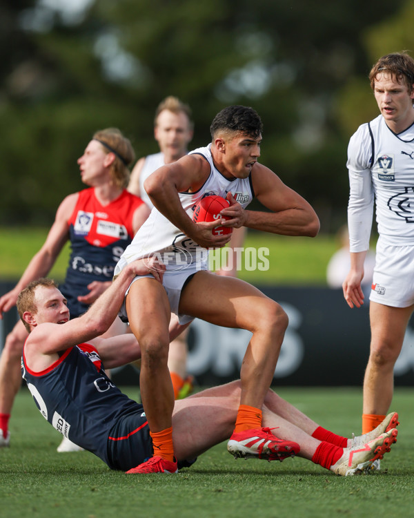 VFL 2025 Round 17 - Casey Demons v Carlton - A-60687506