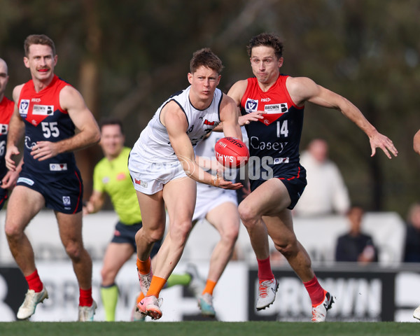 VFL 2025 Round 17 - Casey Demons v Carlton - A-60687520