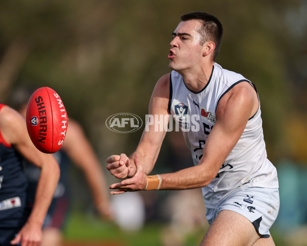 VFL 2025 Round 17 - Casey Demons v Carlton - A-60689447
