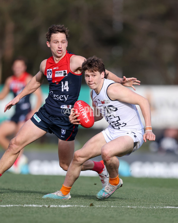 VFL 2025 Round 17 - Casey Demons v Carlton - A-60690004