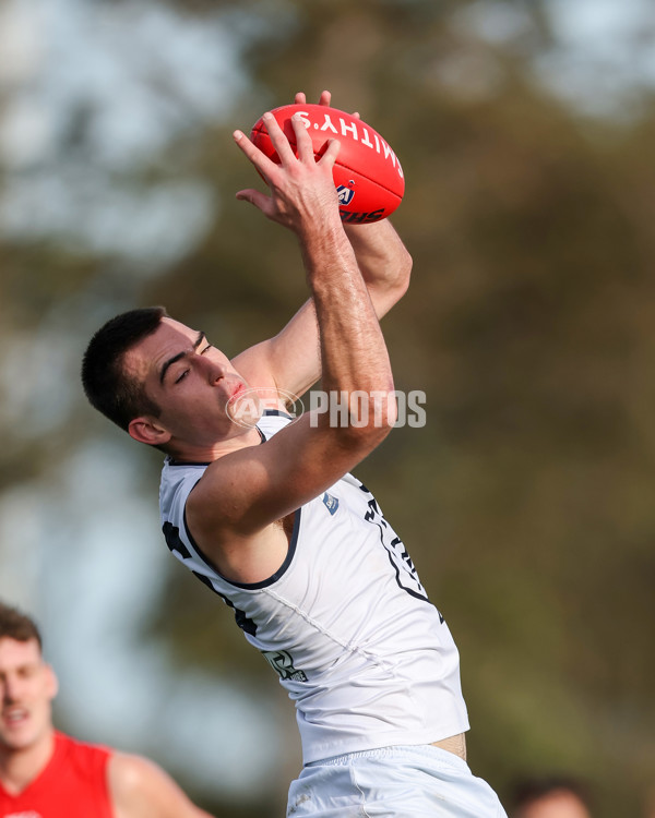 VFL 2025 Round 17 - Casey Demons v Carlton - A-60690008