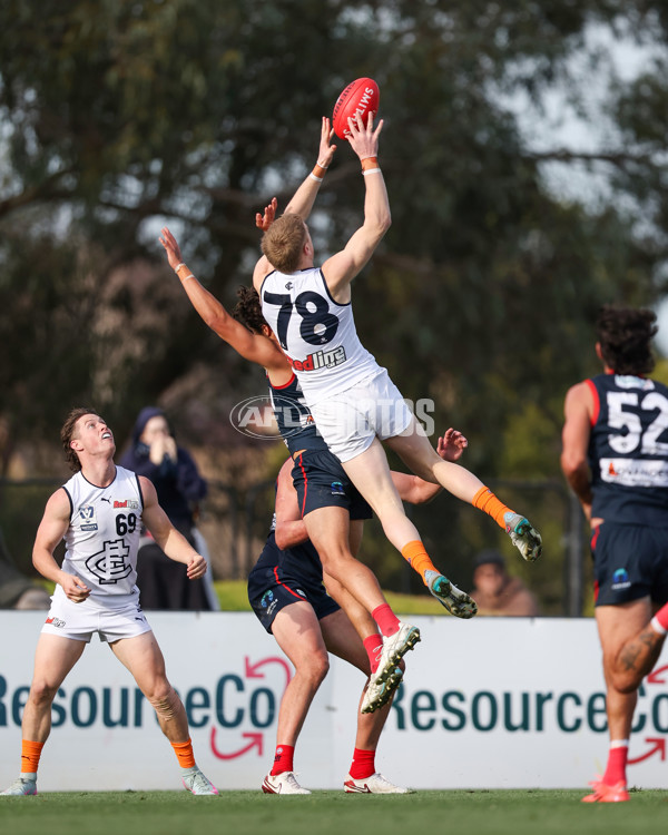 VFL 2025 Round 17 - Casey Demons v Carlton - A-60690019