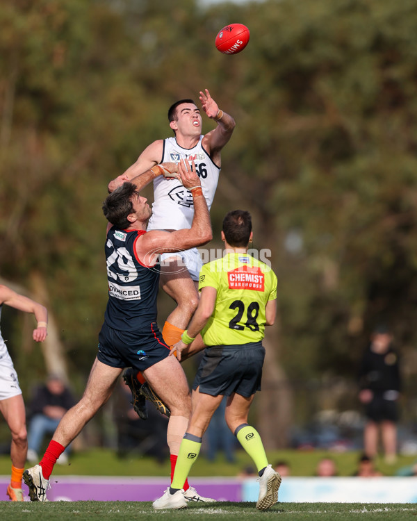 VFL 2025 Round 17 - Casey Demons v Carlton - A-60690031