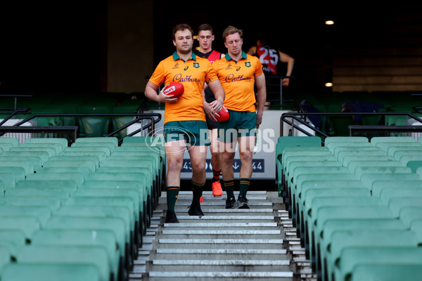 AFL 2025 Media - Australian Wallabies and Essendon Bombers Media Opportunity - A-60706551