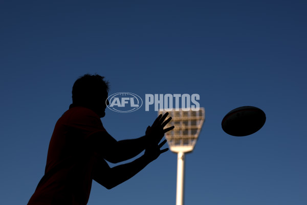 AFL 2025 Media - Australian Wallabies and Essendon Bombers Media Opportunity - A-60708308