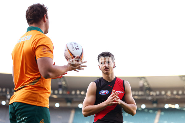 AFL 2025 Media - Australian Wallabies and Essendon Bombers Media Opportunity - A-60708314