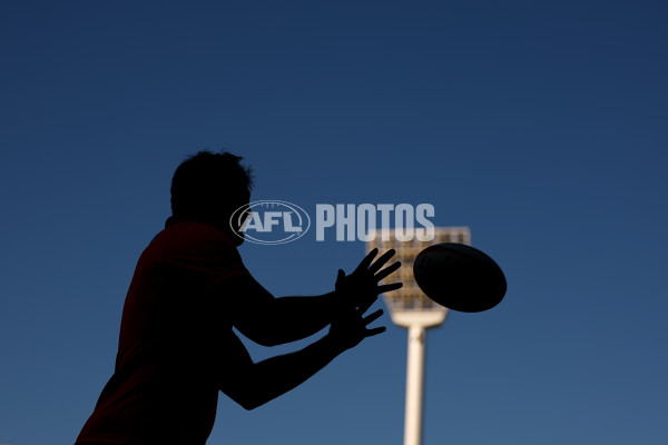AFL 2025 Media - Australian Wallabies and Essendon Bombers Media Opportunity - A-60708315