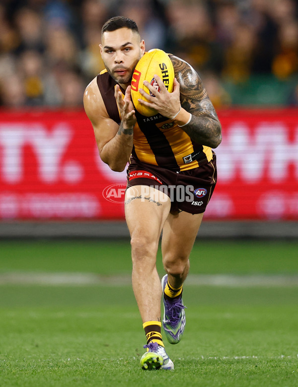 AFL 2025 Round 20 - Hawthorn v Carlton - A-60717344