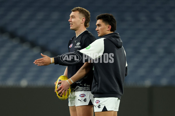 AFL 2025 Round 20 - Hawthorn v Carlton - A-60718816