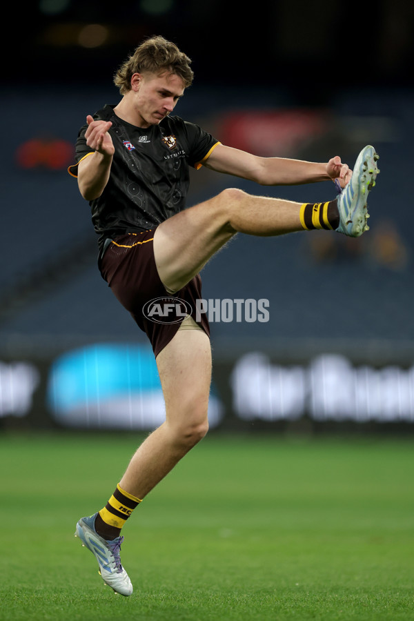 AFL 2025 Round 20 - Hawthorn v Carlton - A-60718821