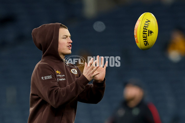 AFL 2025 Round 20 - Hawthorn v Carlton - A-60718823